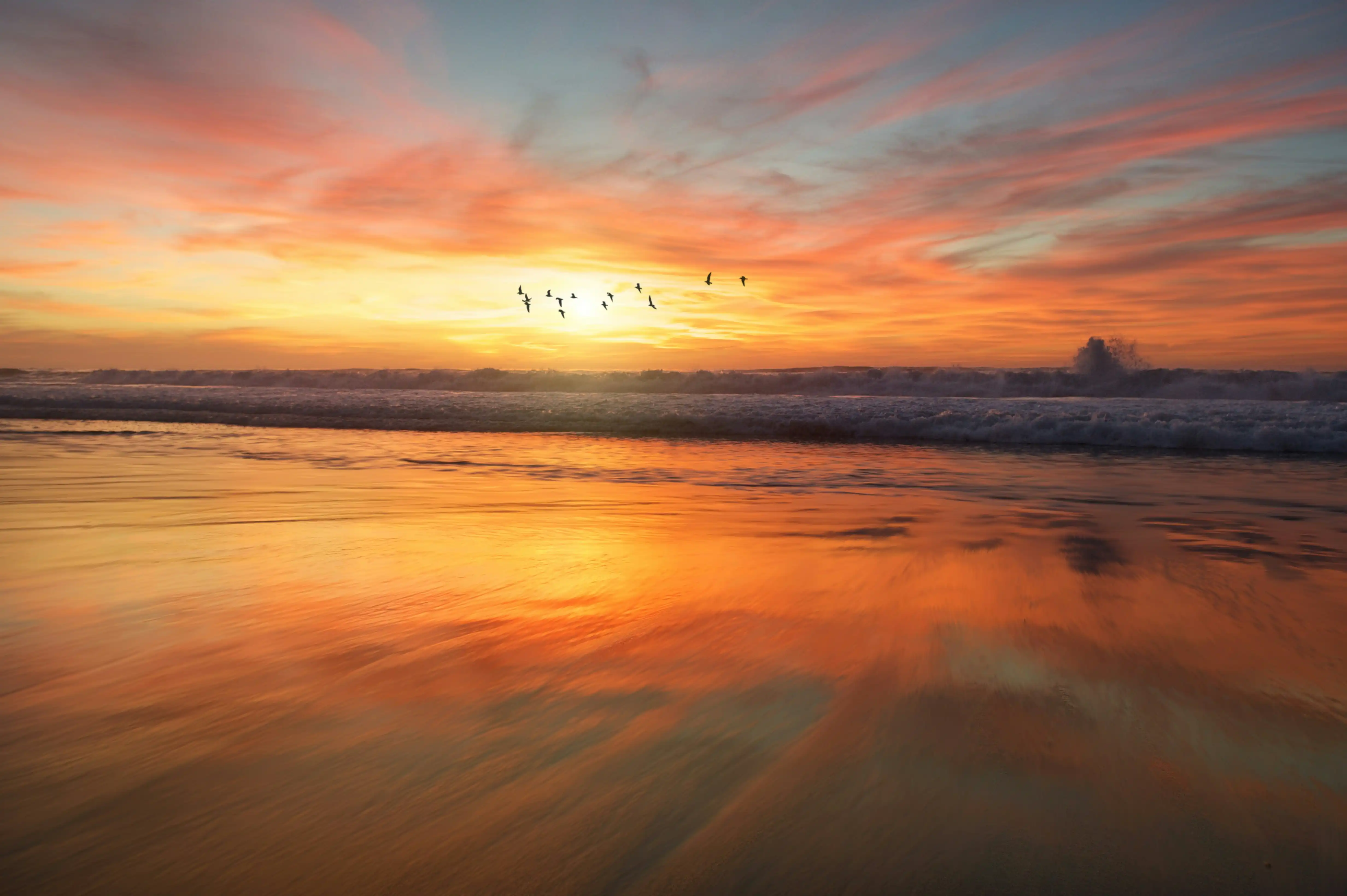 A flock of birds flying in front of a watercolor sunset on a calm, tranquil beach.